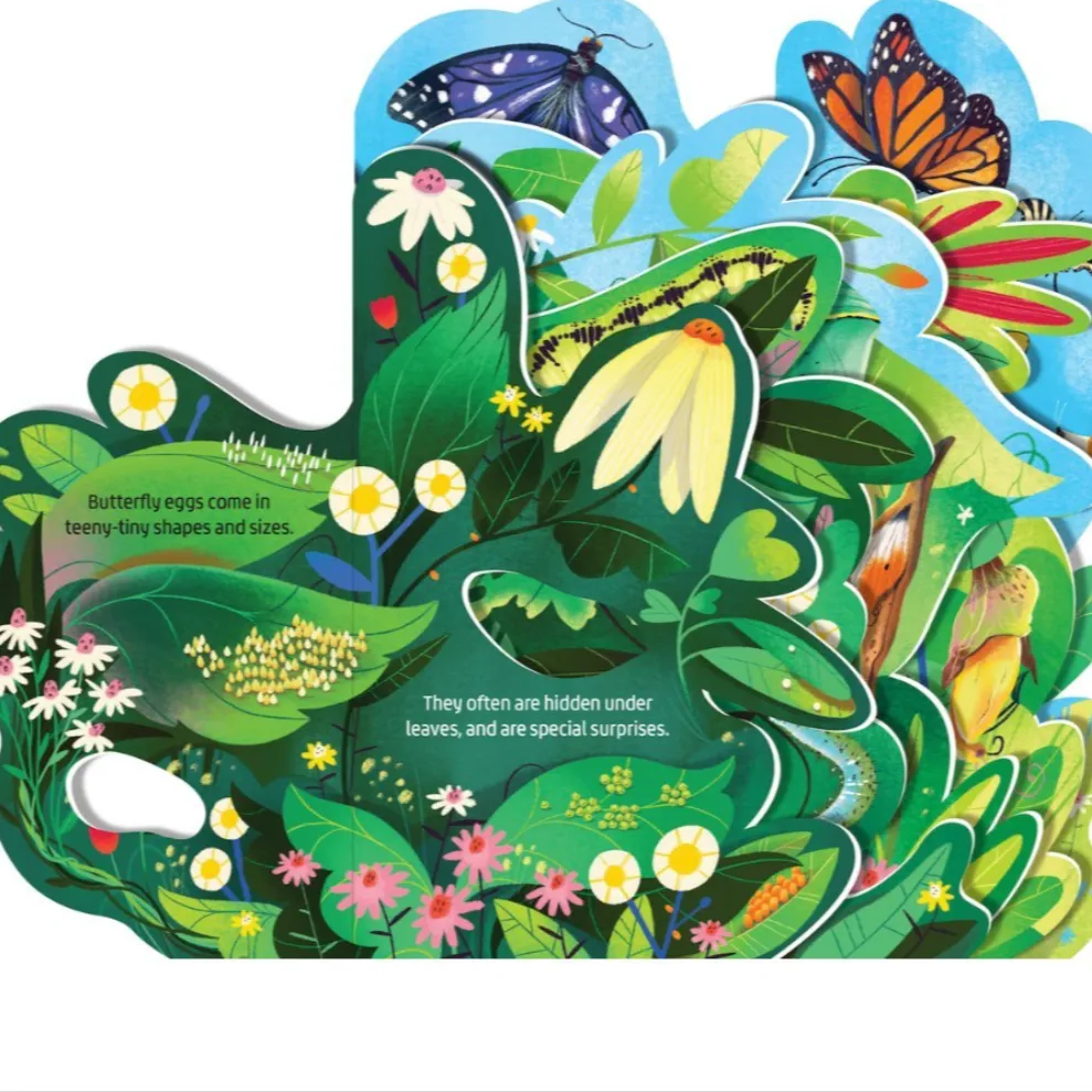 Beautiful Butterflies