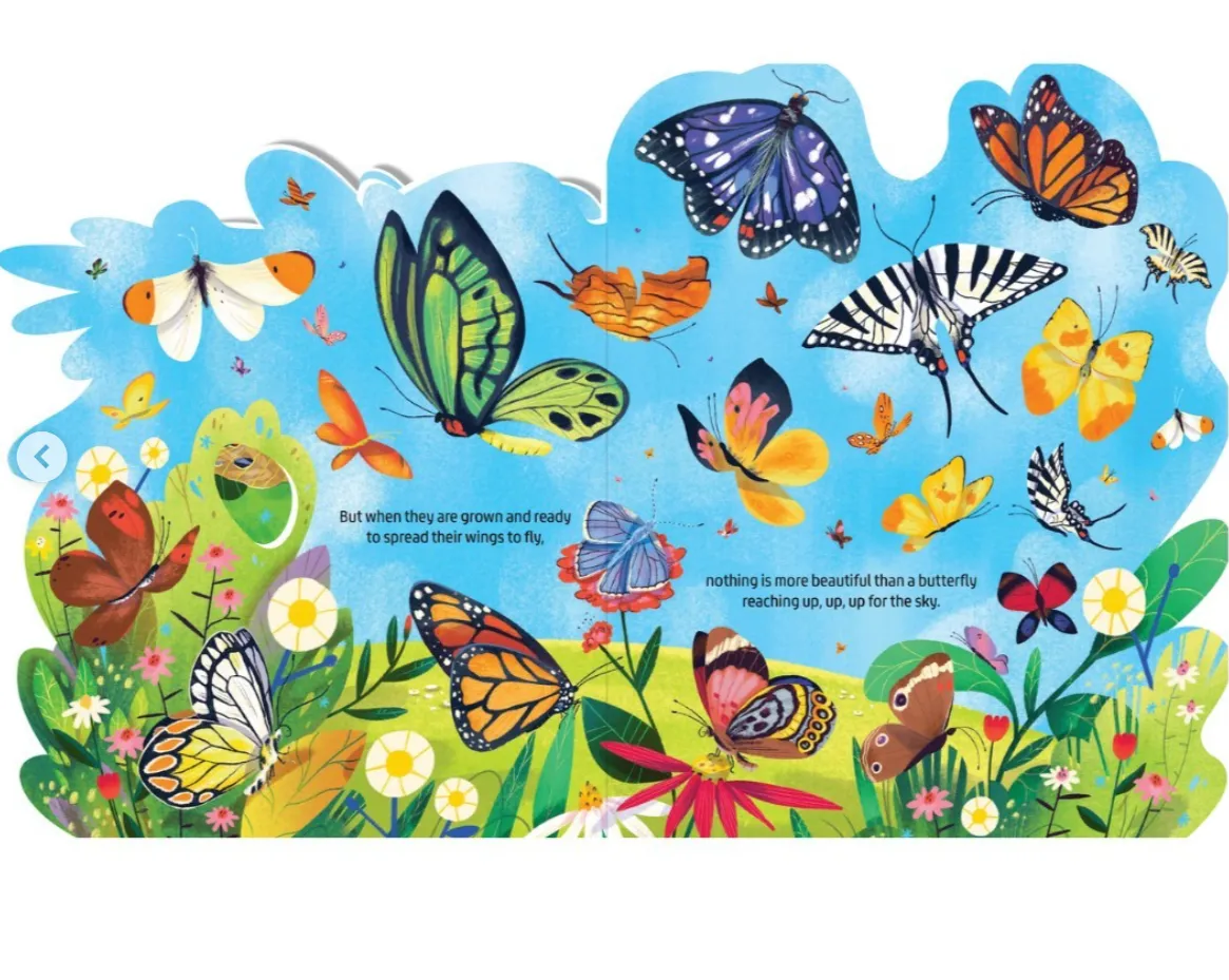 Beautiful Butterflies