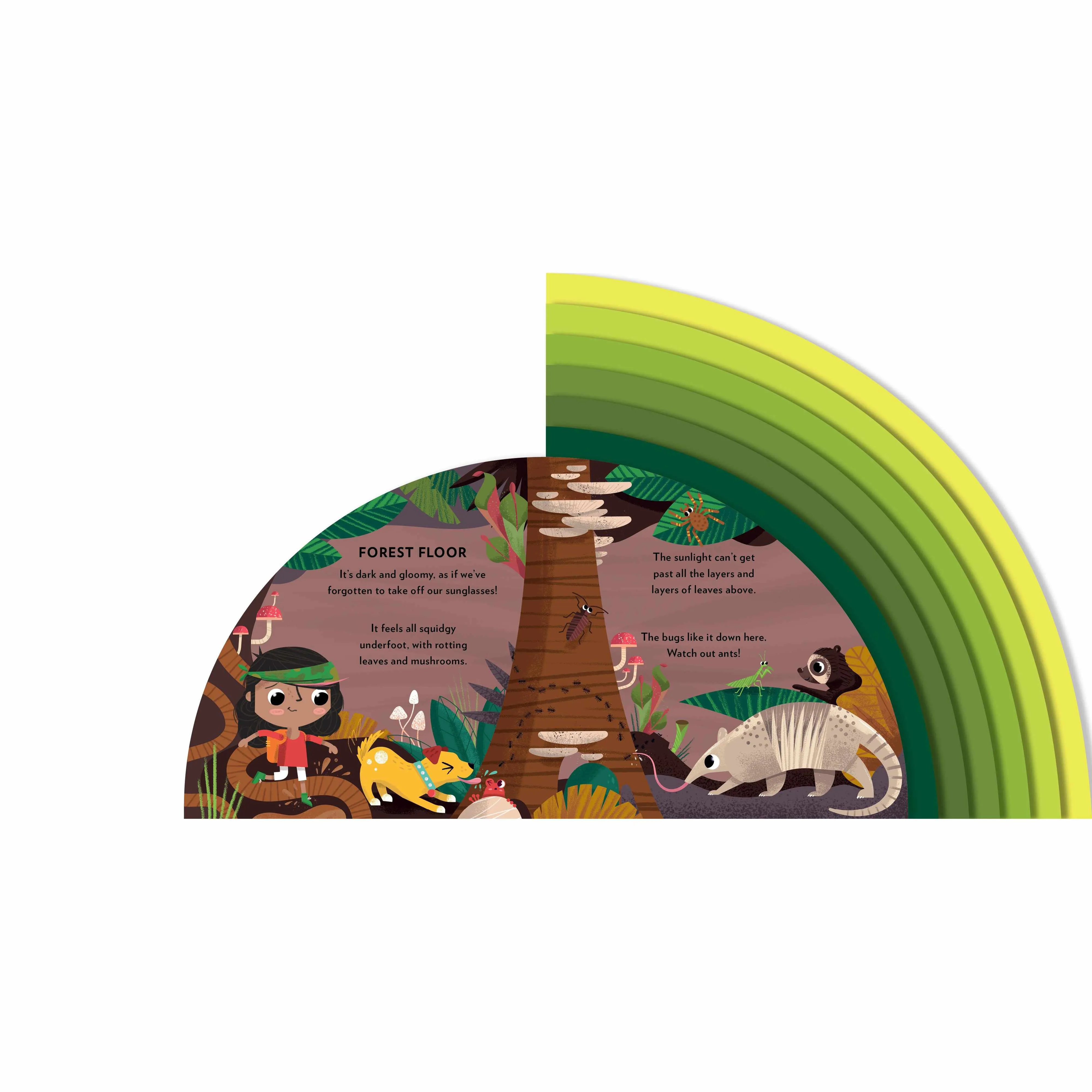 Explore The Rainforest board book - Carly Madden