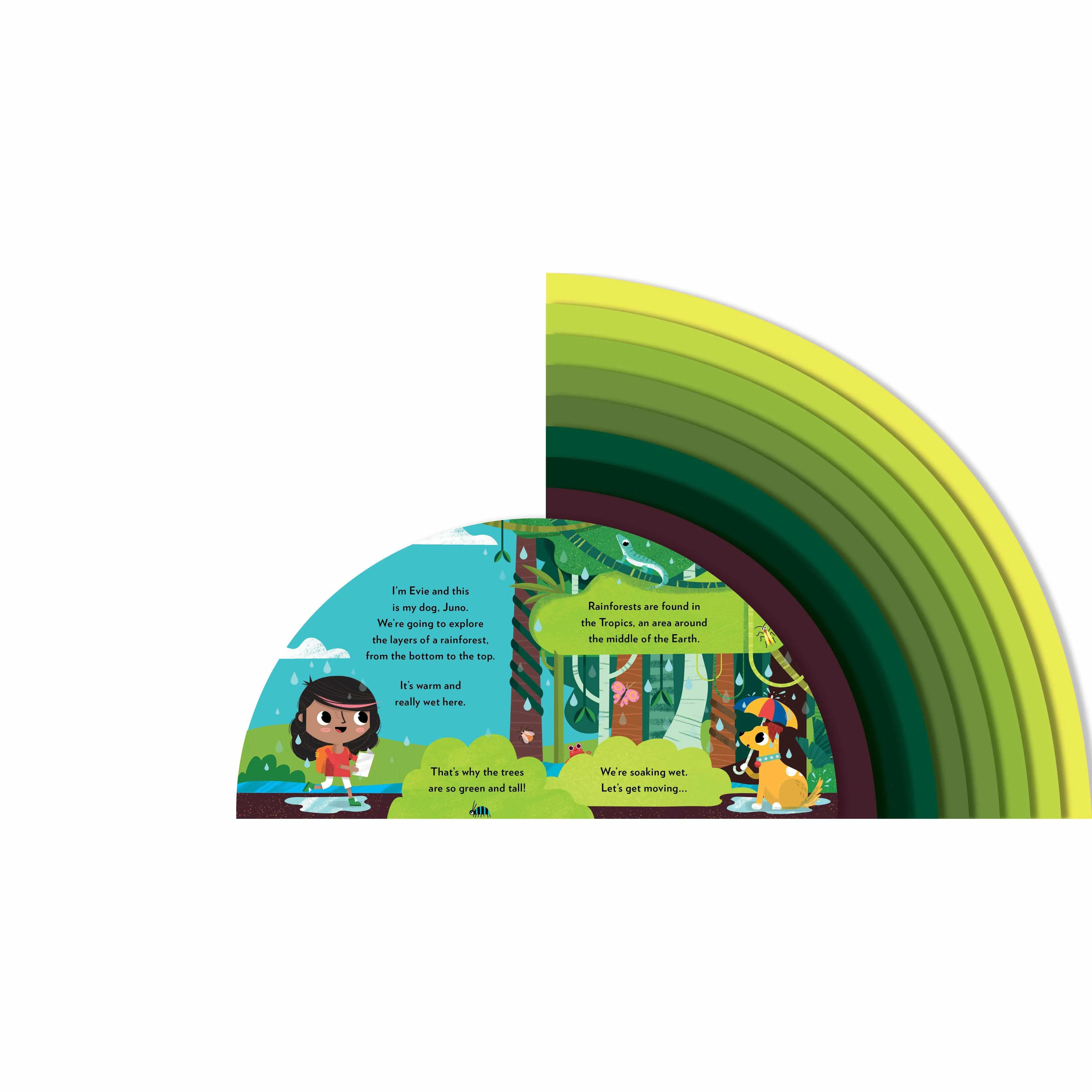 Explore The Rainforest board book - Carly Madden