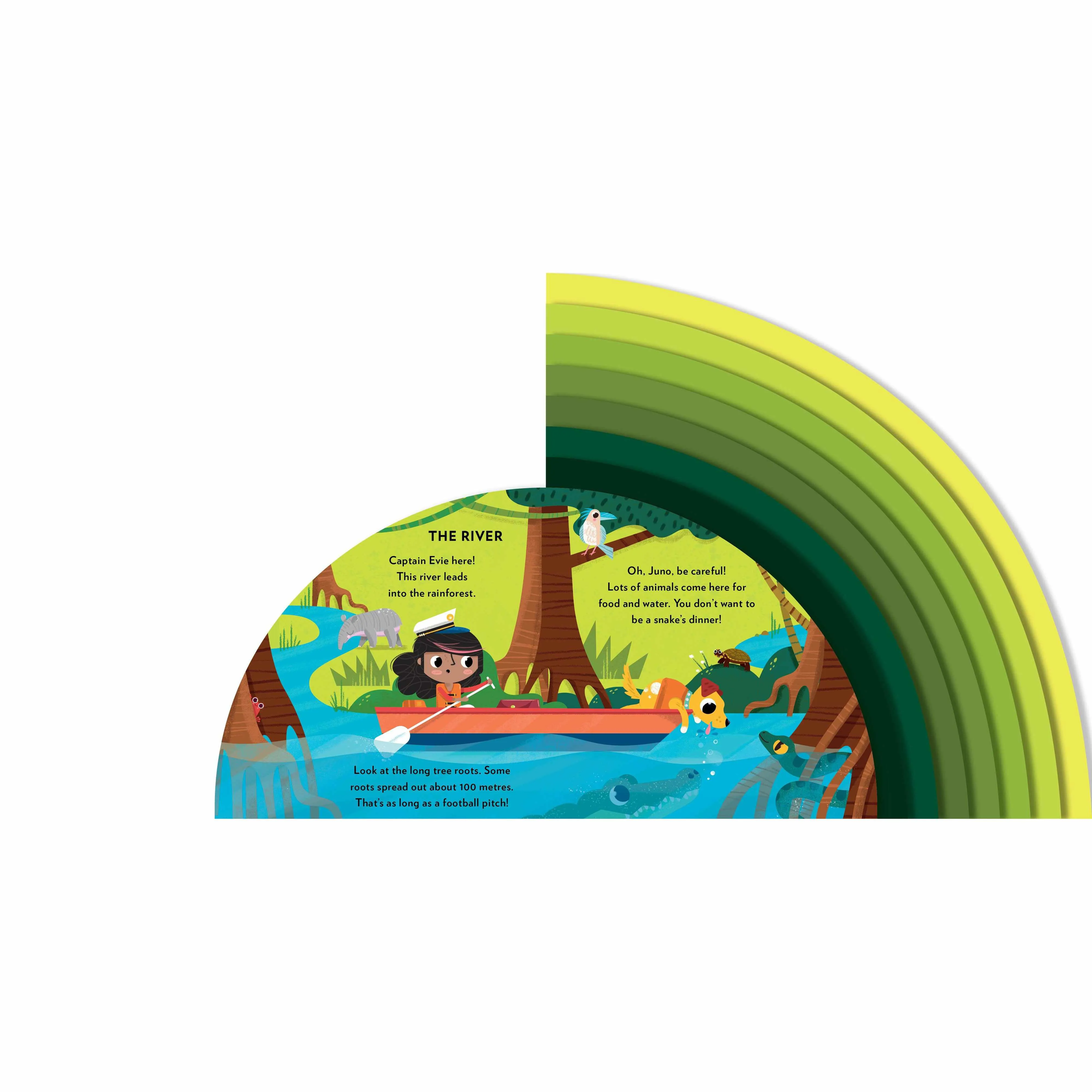 Explore The Rainforest board book - Carly Madden