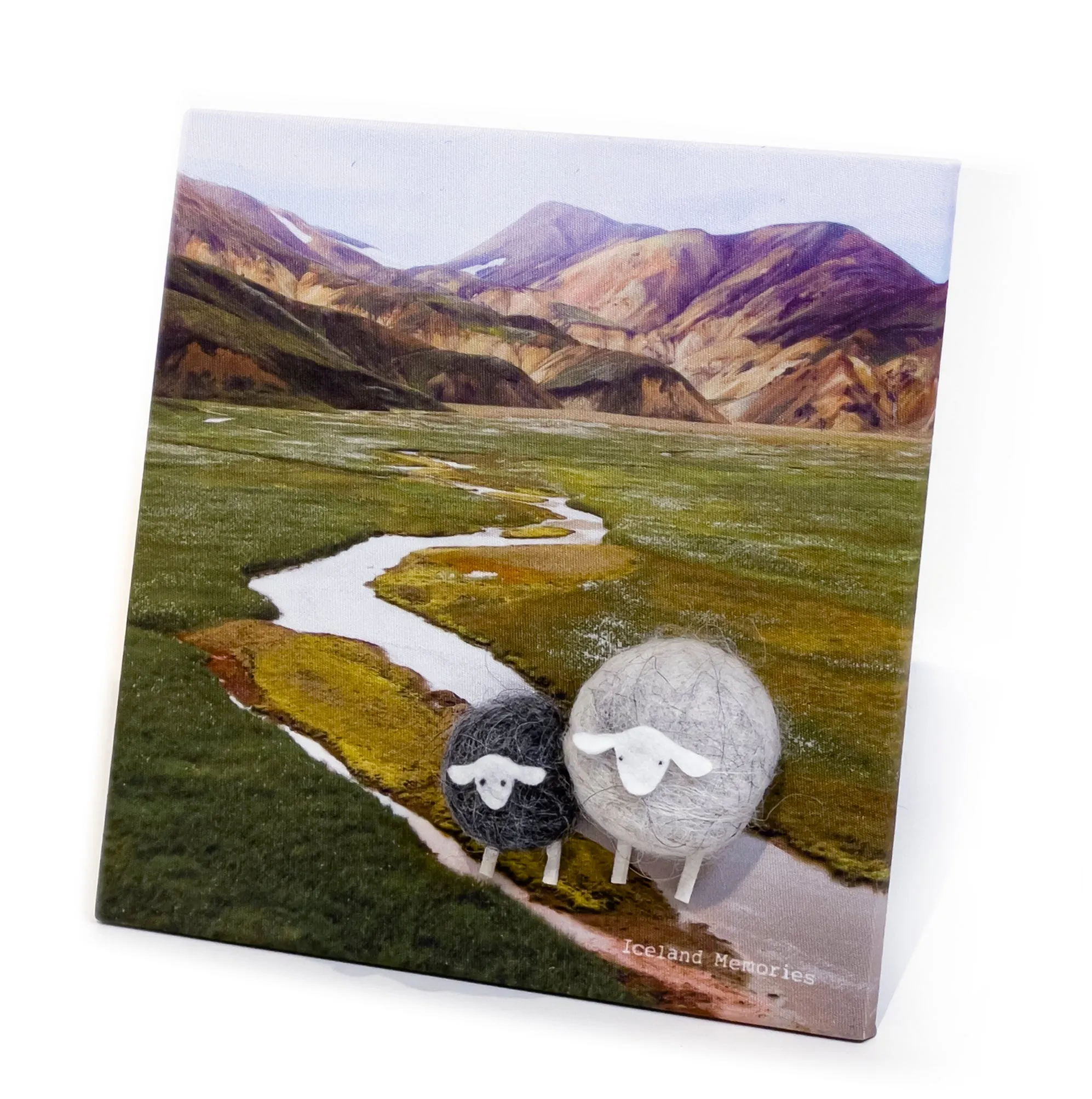 Magnet board 24